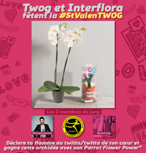 twog_interflora_tweet_saint_valentin_concours_V2
