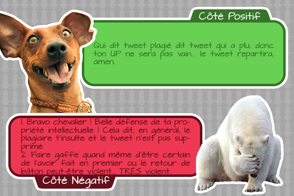 Le UP de on m’a plagié 6