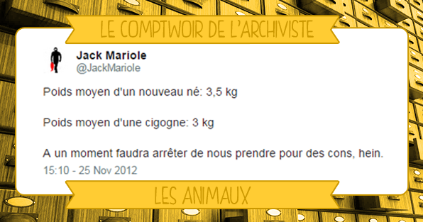 sélection meilleurs tweets archives vieux tweets animaux chiens cigogne chats humour drôle lol
