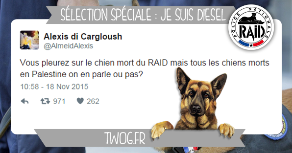 JE_SUIS_CHIEN_DIESEL_RAID_TWEET_REACTION_TWITTER