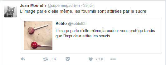L'image parle d'elle même, les fourmis sont attirées par le sucre.