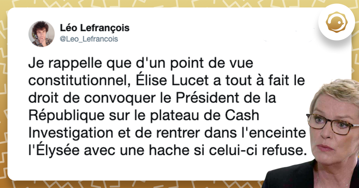 Tweet liseré de jaune disant "Je rappelle que d'un point de vue constitutionnel, Élise Lucet a tout à fait le droit de convoquer le Président de la République sur le plateau de Cash investigation et de rentrer dans l'enceinte de l’Élysée avec une hache si celui-ci refuse"