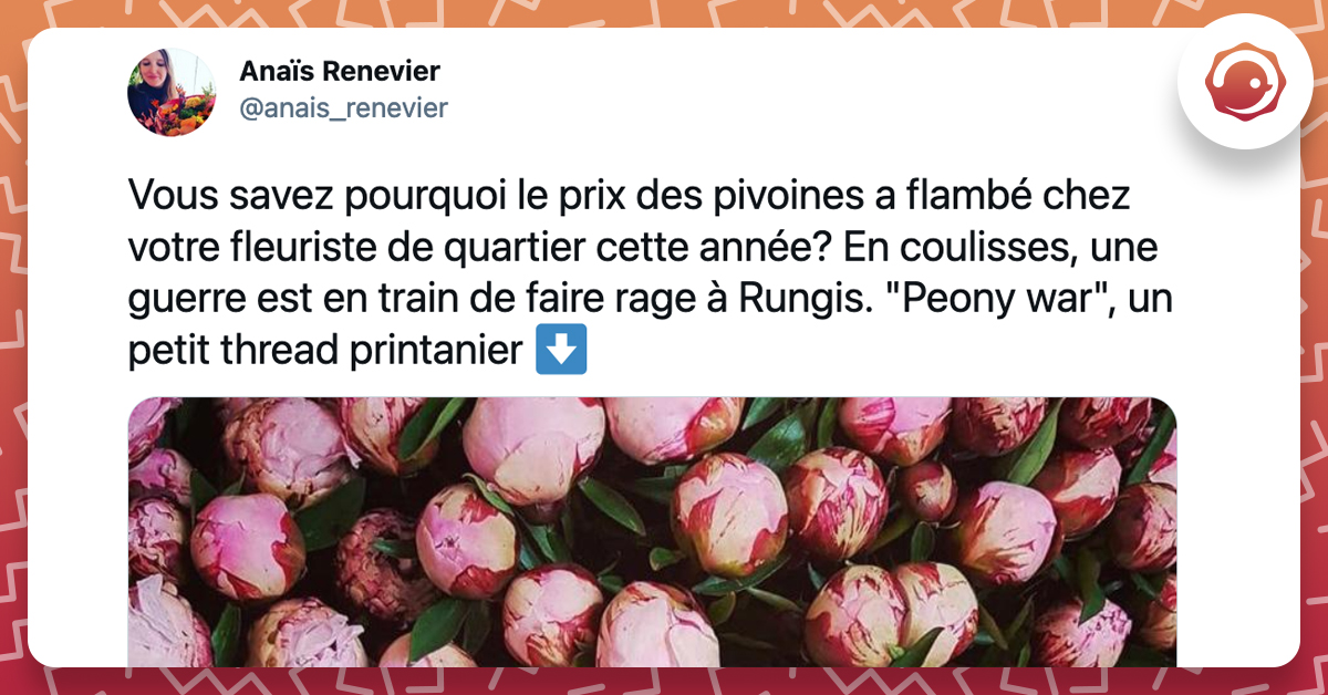 tweet de @anais_renevier sur les pivoines