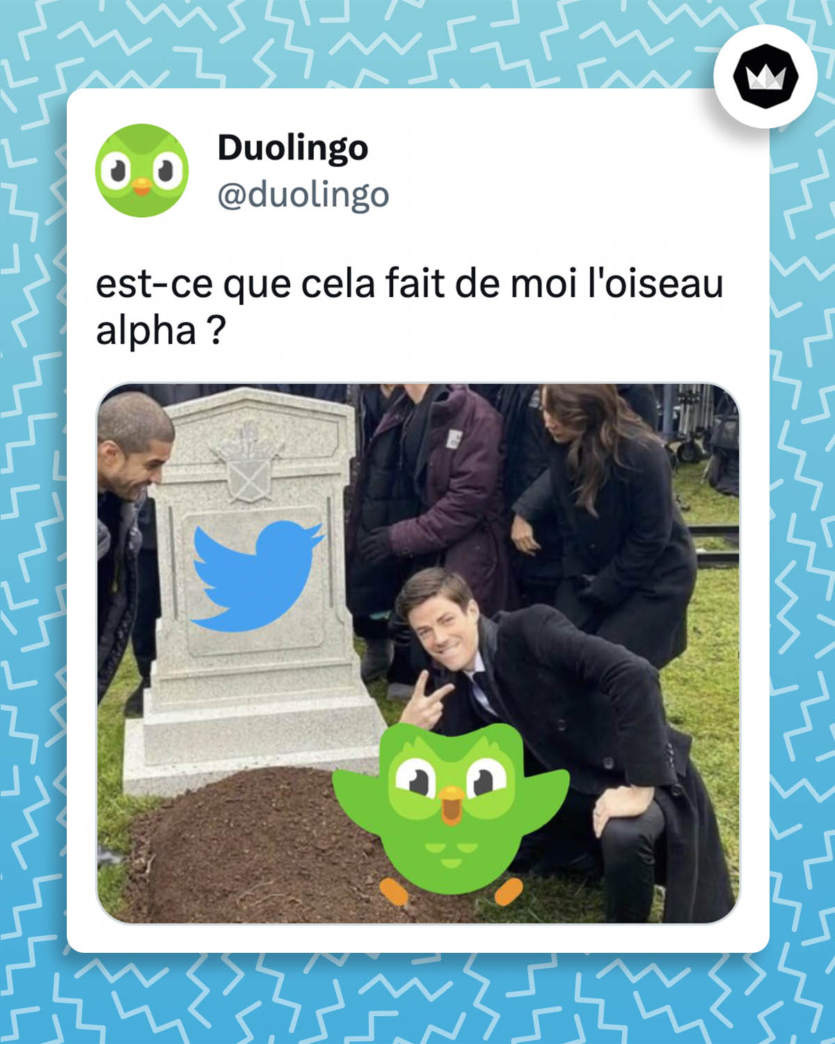Tweet de duolingo :
"does this make me the alpha bird?"