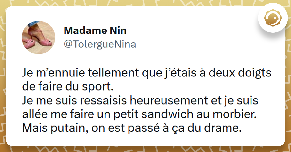 Tweet liseré de jaune de @TolergueNina disant "Je m'ennuie tellement que j'étais à deux doigts de faire du sport. Je me suis ressaisis heureusement et je suis allée me faire un petit sandwich au morbier. Mais putain, on est passé à ça du drame"