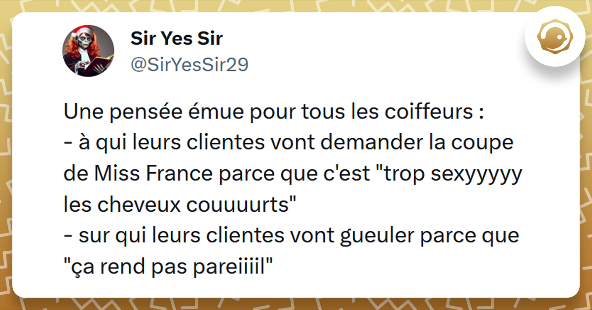 Tweet liseré de jaune disant "Une pensée émue pour tous les coiffeurs : - à qui leurs clientes vont demander la coupe de Miss France parce que c'est "trop sexyyyyy les cheveux couuuurts" - sur qui leurs clientes vont gueuler parce que "ça rend pas pareiiiil""