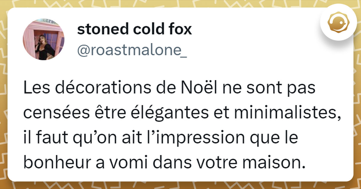 Tweet de @roastmalone_ : "Les décorations de Noël ne sont pas censées être élégantes et minimalistes, il faut qu’on ait l’impression que le bonheur a vomi dans votre maison."