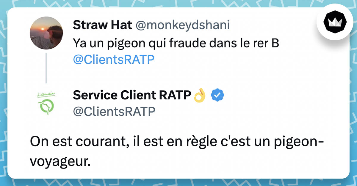 Perle de CM : @monkeydshani : Ya un pigeon qui fraude dans le rer B @ClientsRATP : On est courant, il est en règle c'est un pigeon-voyageur.