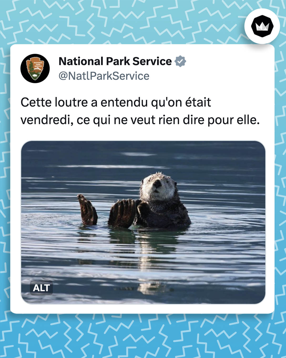 tweet de @NatlParkService :
"Cette loutre de mer a entendu dire qu'on était vendredi, ce qui ne veut rien dire pour elle." Accompagné d'une photo de loutre dans l'eau.