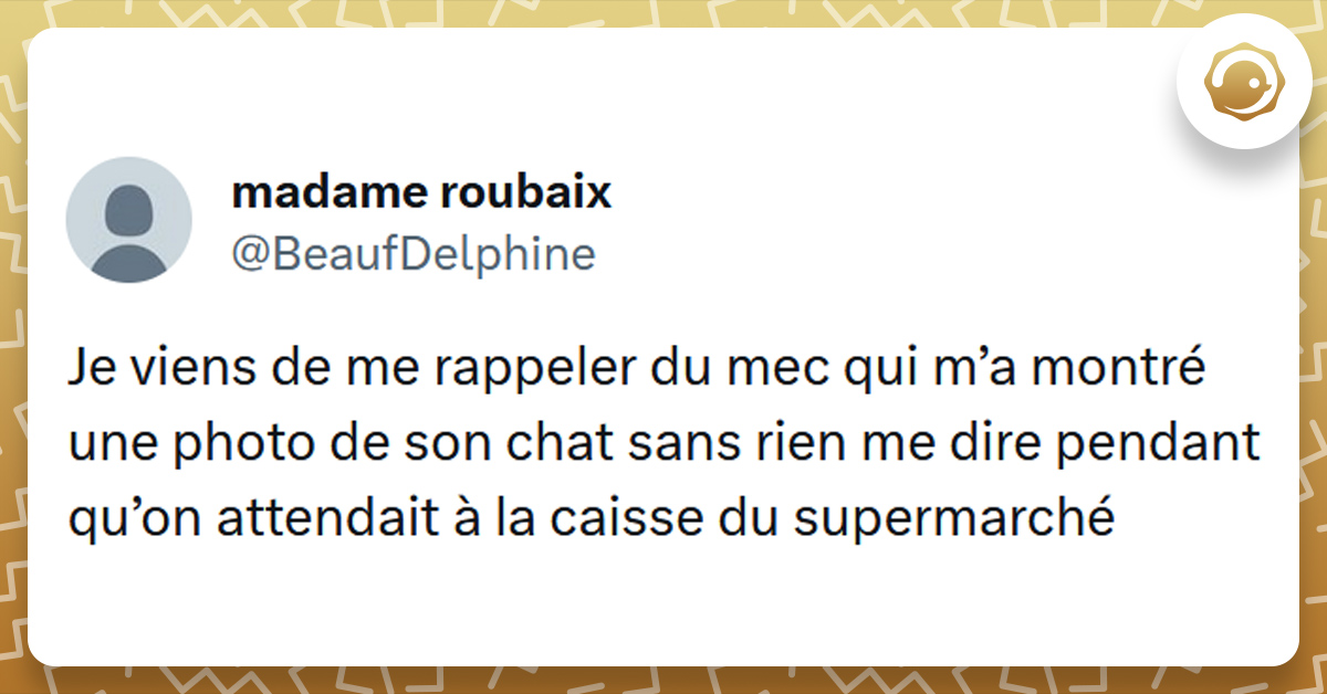 Tweet liséré de jaune de @BeaufDelphine disant "Je viens de me rappeler du mec qui m’a montré une photo de son chat sans rien me dire pendant qu’on attendait à la caisse du supermarché"