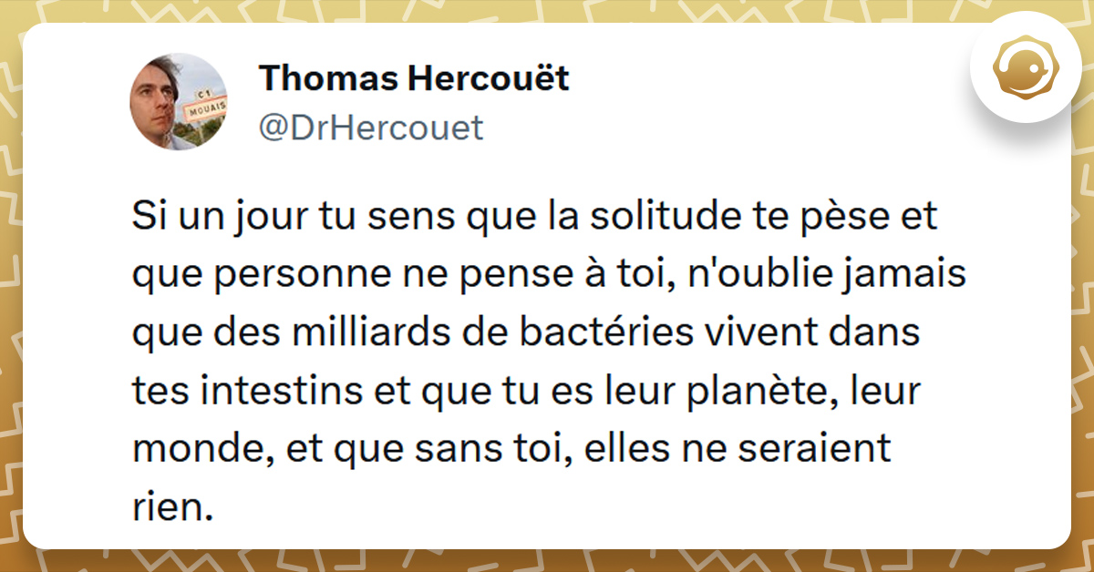 Tweet liseré de jaune de @DrHercouet disant "Si un jour tu sens que la solitude te pèse et que personne ne pense à toi, n'oublie jamais que des milliards de bactéries vivent dans tes intestins et que tu es leur planète, leur monde, et que sans toi, elles ne seraient rien."