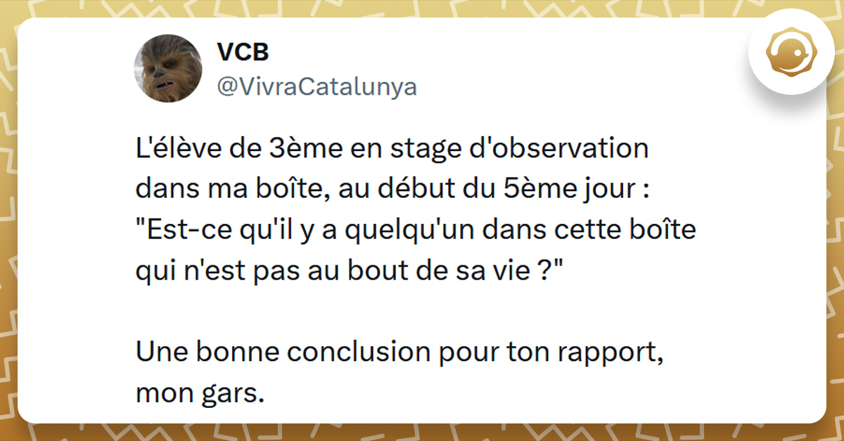 Tweet liseré de jaune de @VivraCatalunya disant "L'élève de 3ème en stage d'observation dans ma boîte, au début du 5ème jour : "Est-ce qu'il y a quelqu'un dans cette boîte qui n'est pas au bout de sa vie ?" Une bonne conclusion pour ton rapport, mon gars."