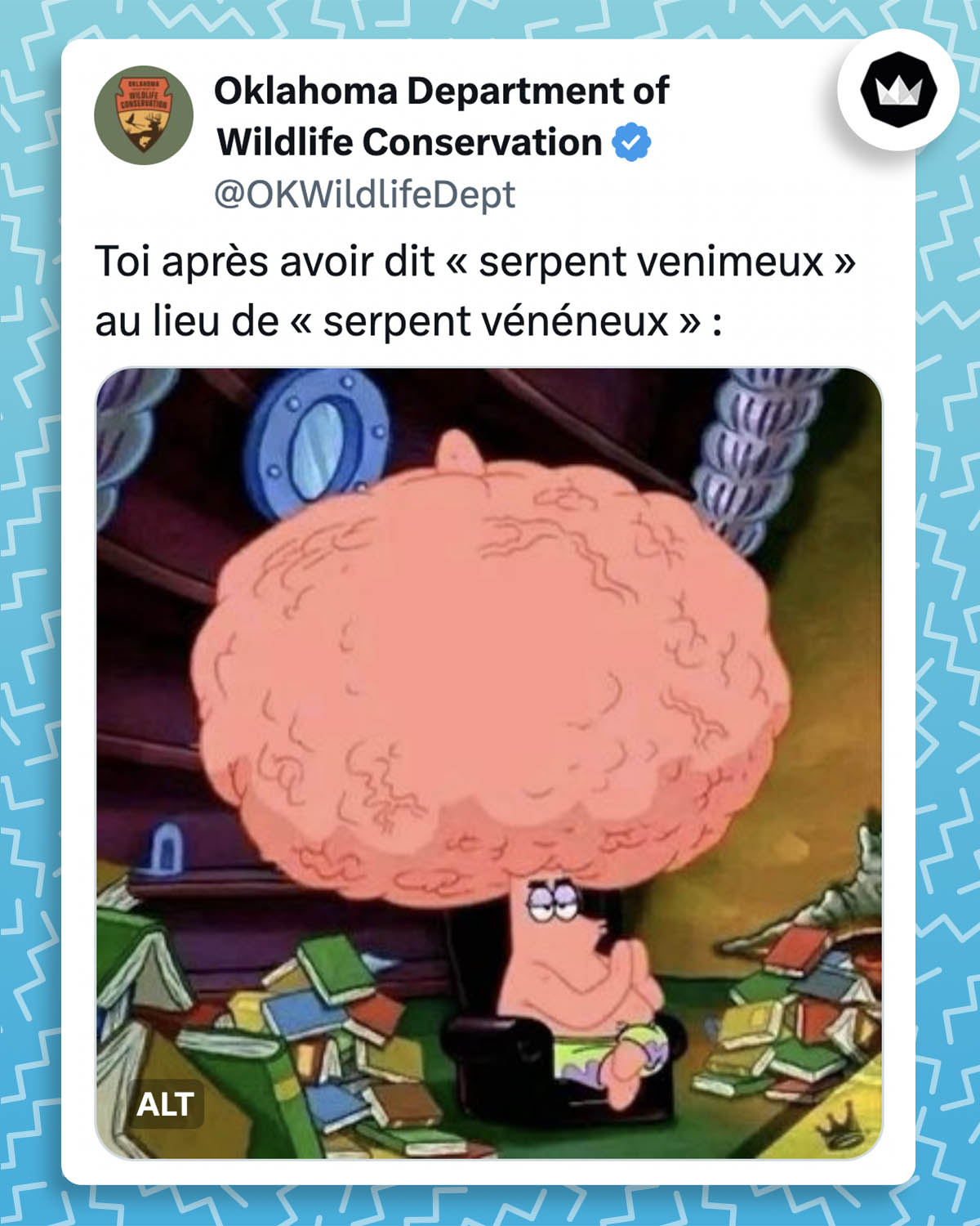 tweet de OkwildlifeDept :
"Toi après avoir dit « serpent venimeux » au lieu de « serpent vénéneux » :"