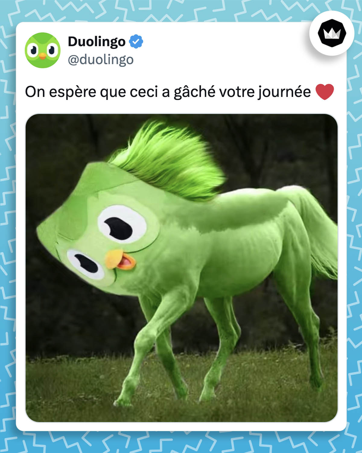 Duolingo :
"On espère que ceci a gâché votre journée"
Montage d'un cheval bleu surmonté de la tête de la mascotte de Duolingo