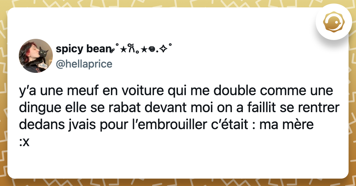 @hellaprice y’a une meuf en voiture qui me double comme une dingue elle se rabat devant moi on a faillit se rentrer dedans jvais pour l’embrouiller c’était : ma mère :x