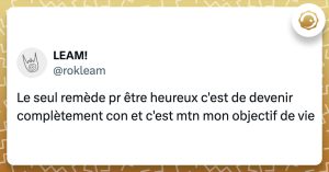 Tweet de @rokleam : "Le seul remède pr être heureux c'est de devenir complètement con et c'est mtn mon objectif de vie"