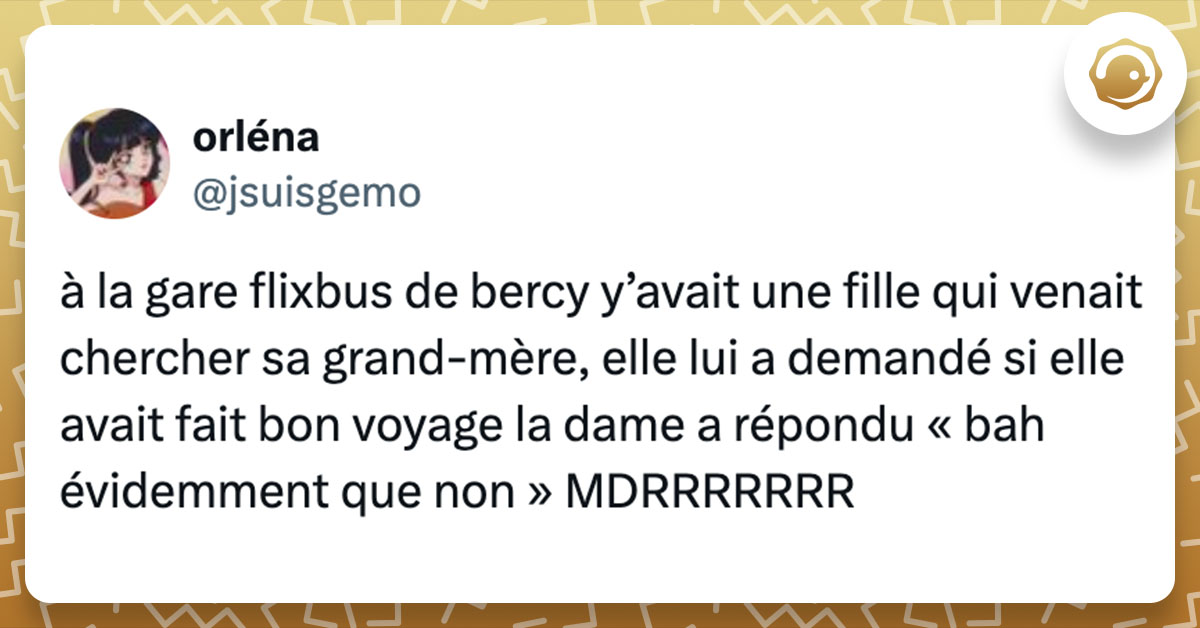 Tweet de @jsuisgemo : "à la gare flixbus de bercy y’avait une fille qui venait chercher sa grand-mère, elle lui a demandé si elle avait fait bon voyage la dame a répondu « bah évidemment que non » MDRRRRRRR"